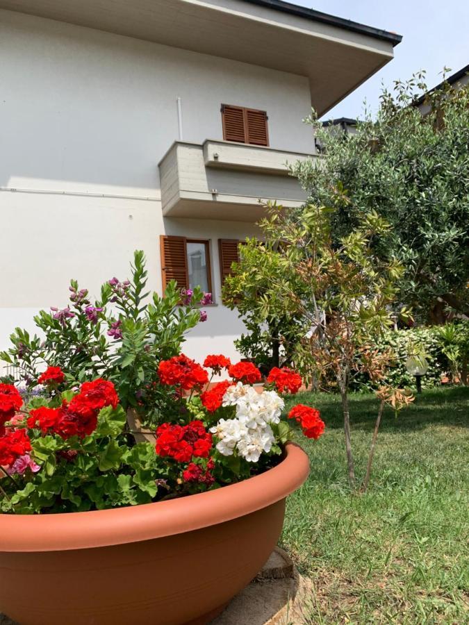 Brezza Affittacamere Montemarciano Exterior photo