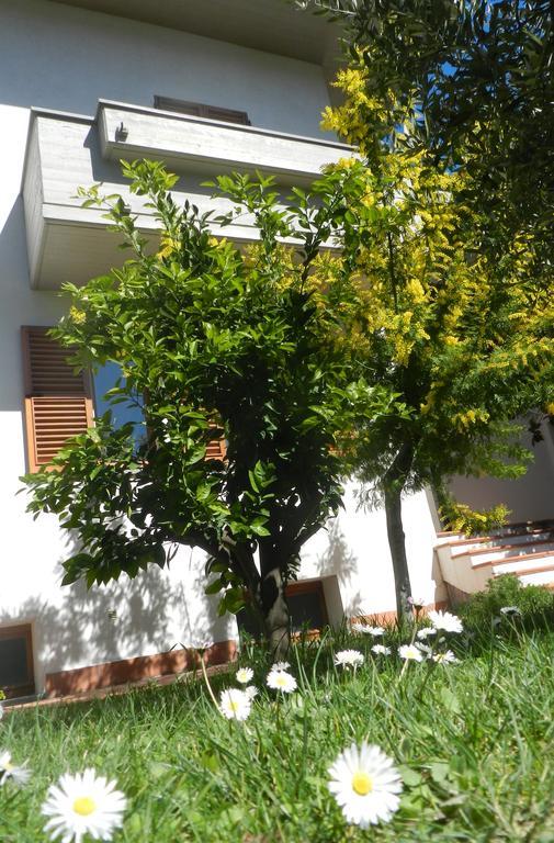 Brezza Affittacamere Montemarciano Exterior photo